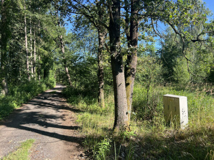 Działka budowlana Dębska Kuźnia gm. Chrząstowice, Kolonia