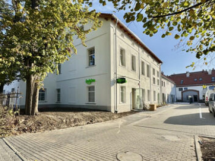 Piękny lokal/studio/mieszk.w folwarcznej zabudowie