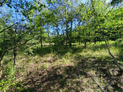 Działka Pyskowice, Wiejska