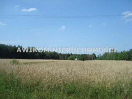 Działka budowlana Borowiec gm. Tarczyn