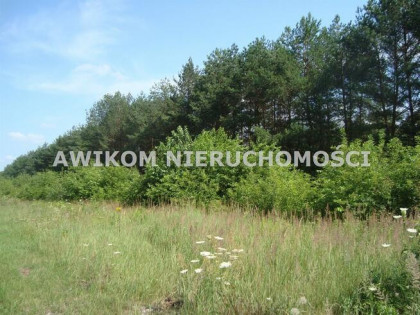 Działka budowlana Many gm. Tarczyn