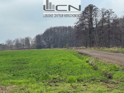 Sprzedam działki Gorzów Wlkp. obręb Zieleniec