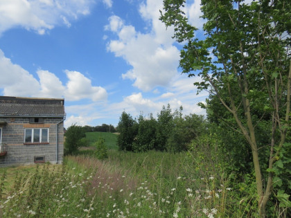 Działka Proszowice