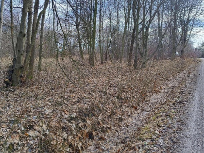 Działka żywiec