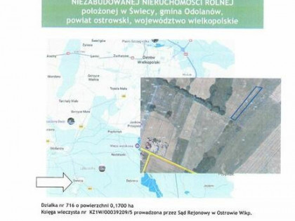 Syndyk sprzeda Nieruchomość rolną w Świecy