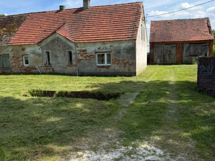 Dom Rogów Górowski