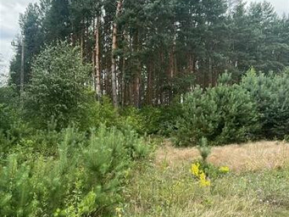 Działka budowlana Kunin gm. Goworowo