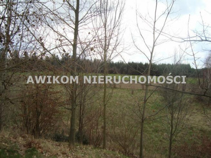 Działka siedliskowa Many gm. Tarczyn