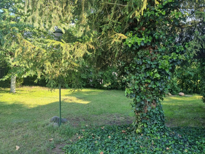 Działka Mirków