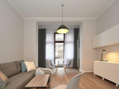 Duża kawalerka, 36 m2, balkon - Dubois 3