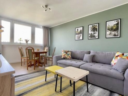 3 pokoje_zielona okolica_balkon_piwnica