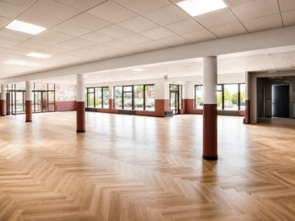 Do wynajęcia lokal ~240m2 (+40m2 piwnicy)