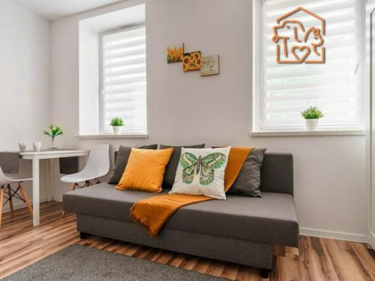 Kawalerka w centrum, pet-friendly - Lompy 5