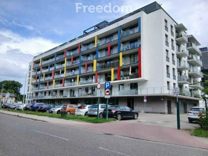 Do wynajęcia apartament w centrum miasta