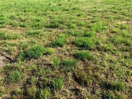 Działka Rudziczka 750m2 131 tys zł