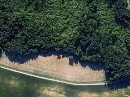Działka z lasem i łąką (7,21 ha) w pobliżu Morza Bałtyckiego