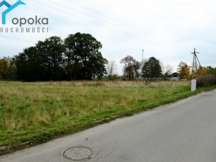 Działka Wilcza