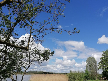 Działka Czarnowo