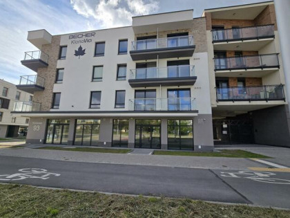 Lokal użytkowy Kielce Sady, Klonowa