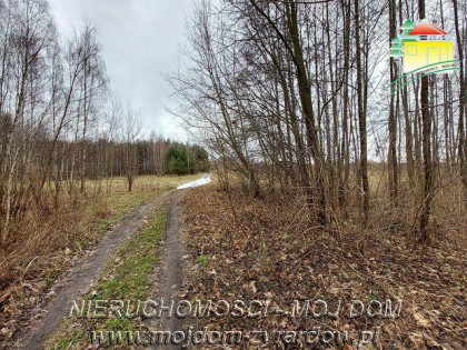 Działka Starowiskitki