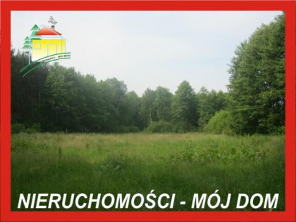 Działka Popielarnia