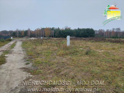 Działka Radziwiłłów