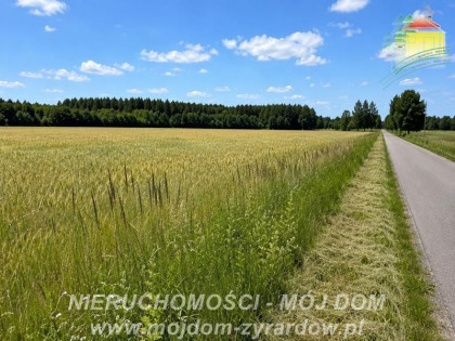 Działka Studzieniec