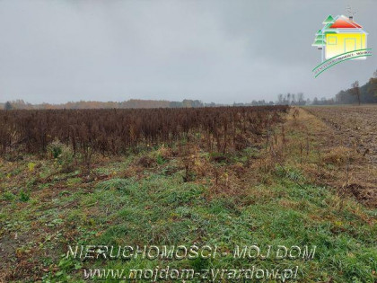 Działka Miedniewice
