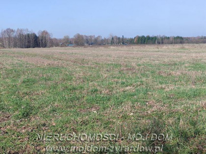 Działka Studzieniec
