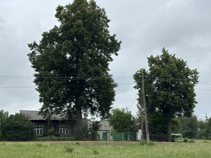 Sprzedam siedlisko 1,2 ha w okolicach Płocka
