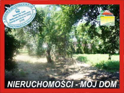 Działka Sade Budy