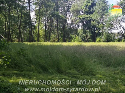 Działka Adamów-Wieś