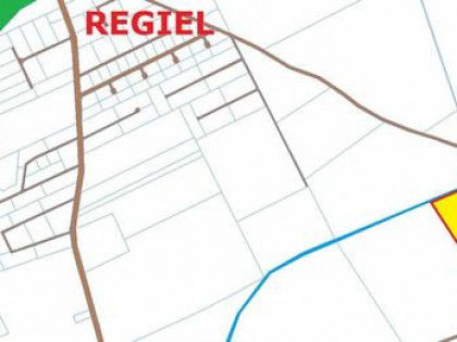 Sprzedam grunty o powierzchni 4,9397 ha w okolicach Regla