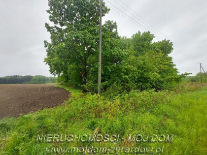 Działka Adamowice