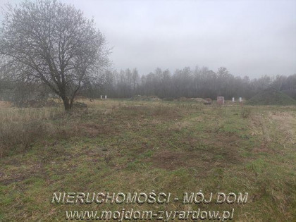 Działka Mrozy
