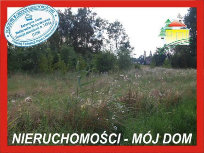 Działka Wiskitki