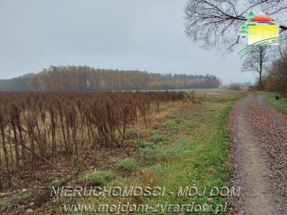 Działka Miedniewice