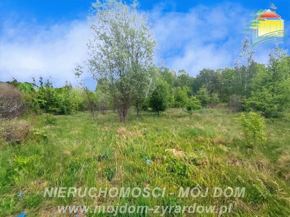 Działka Adamów-Parcel
