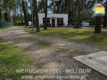 Działka Międzyborów