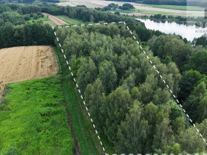 Działka siedliskowa Skrzyszów