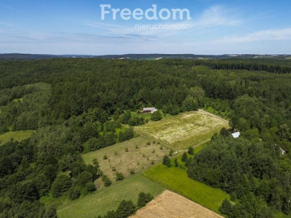 Działka z WZ 33,31 ar – Hadle Kańczuckie