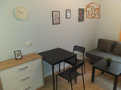 Studio, pet-friendly - Cmentarna 24, Śródmieście