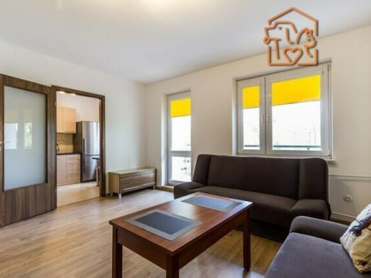 Duża kawalerka pet-friendly - Ksawerów 23