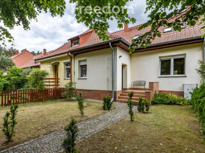Depot gm. Zbąszynek - Szeregowiec posród lasów.