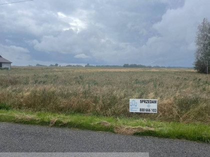 Działka rolna 4,51 ha | Wiewiórów | Klasa III i IV