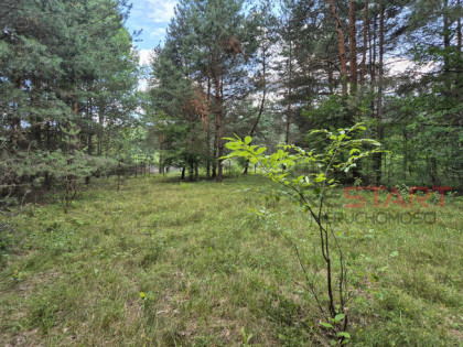 Działka budowlana Marynin gm. Grodzisk Mazowiecki,