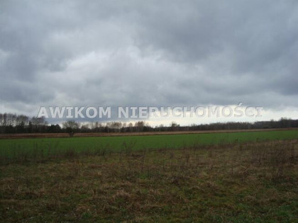 Działka budowlana Żelechów gm. Żabia Wola