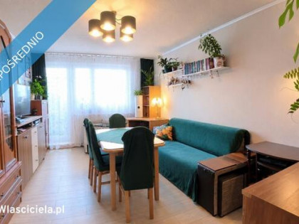 Jasne 3-pokojowe mieszkanie 56 m²