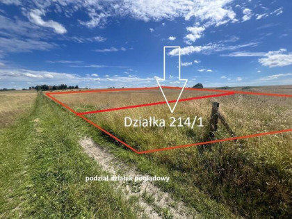 Działka rolna Zieleniewo gm. Kołobrzeg, Jantarowa