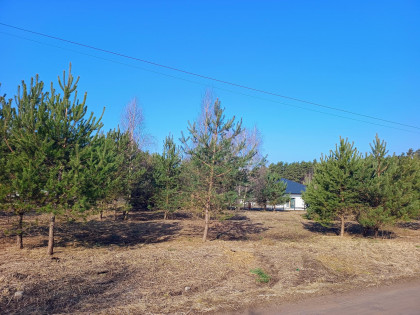Działka Ruda-Bugaj